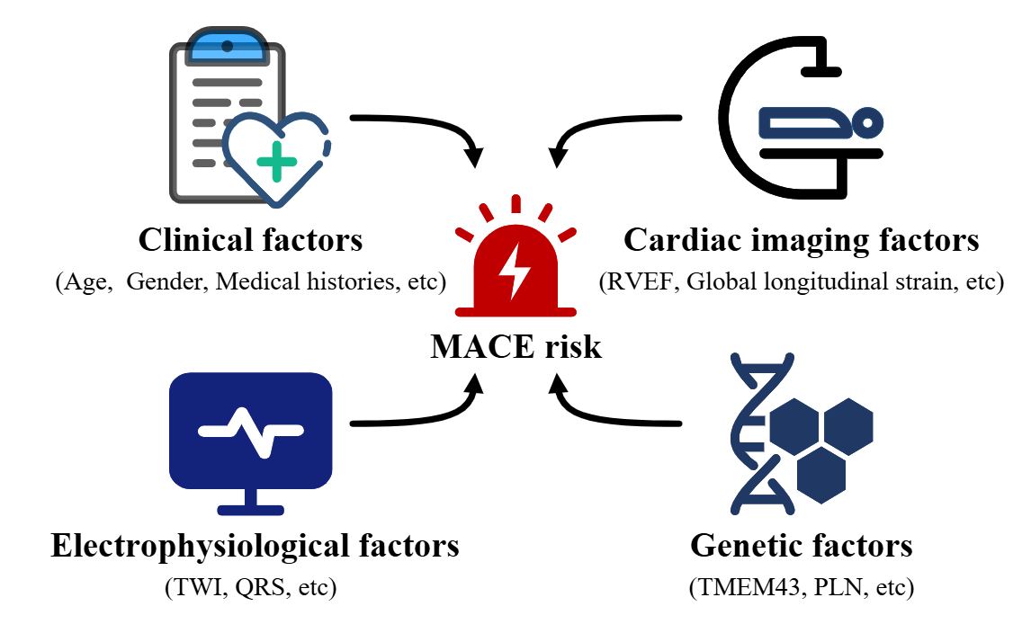 Factors in MACE risk assessment