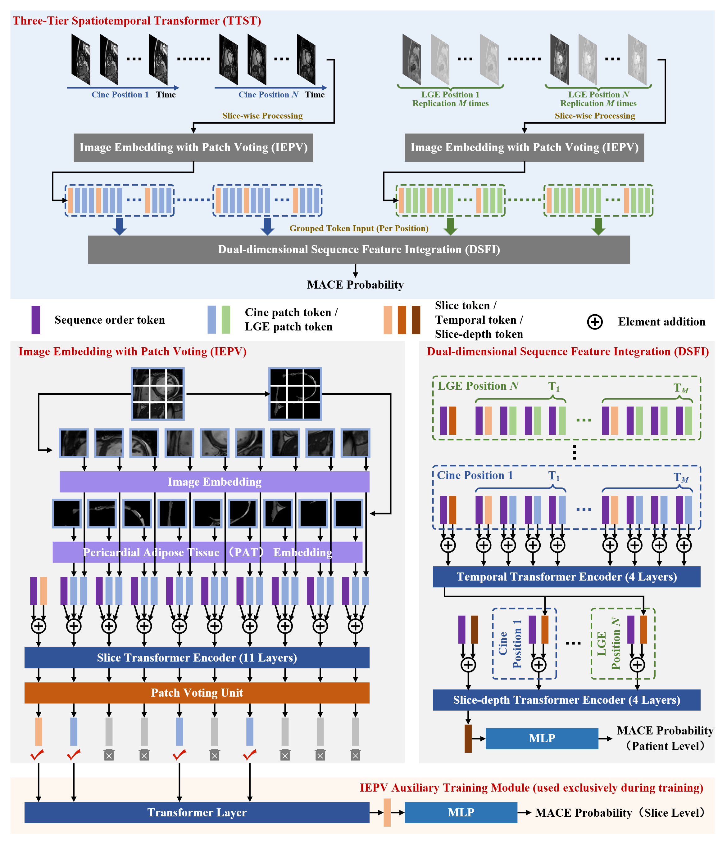 TTST Model Architecture